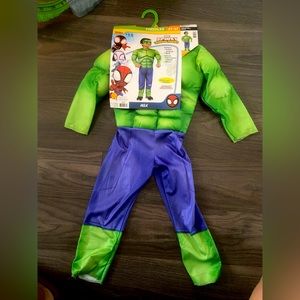 Hulk Costume. Spidey & friends edition.